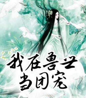 重生之我的美艳妈妈原著小说叫什么名字